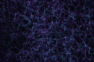 Photo neuroscience