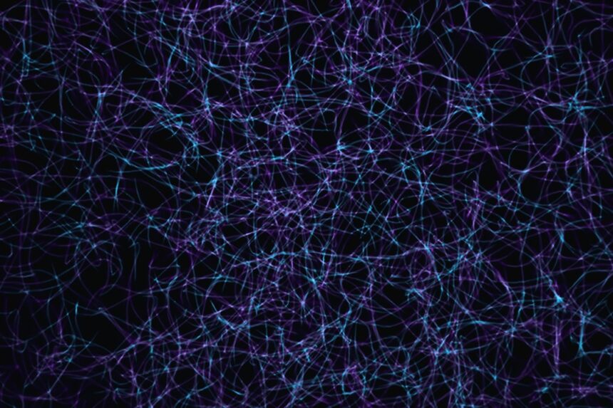 Photo neuroscience