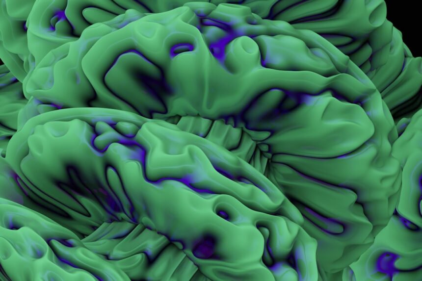 Photo neuroscience cognitive dissonance success