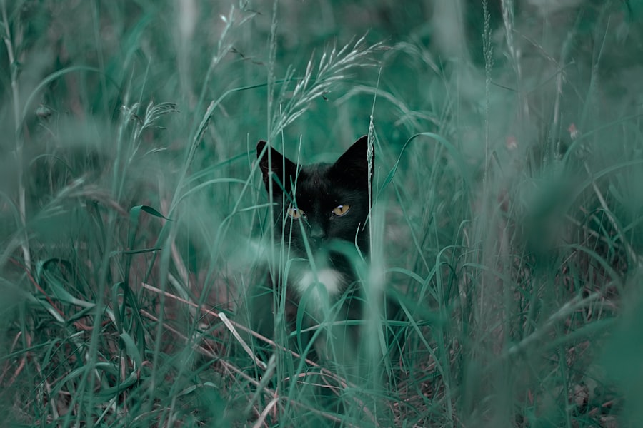 Photo fear of being seen