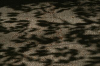 Photo jungian shadow