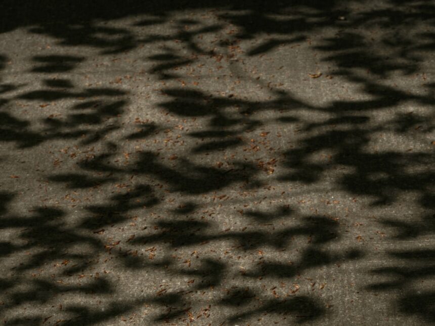 Photo jungian shadow