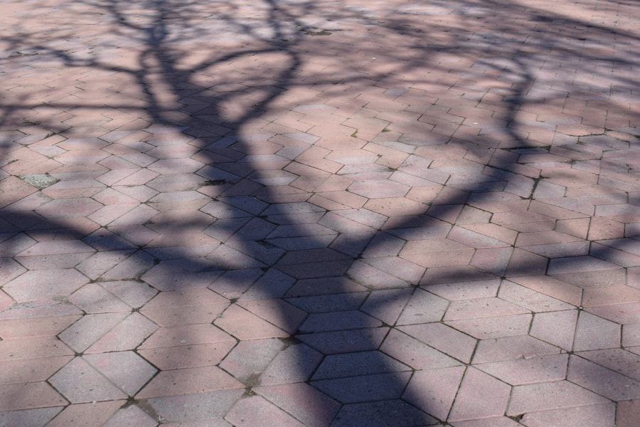 Photo jungian shadow
