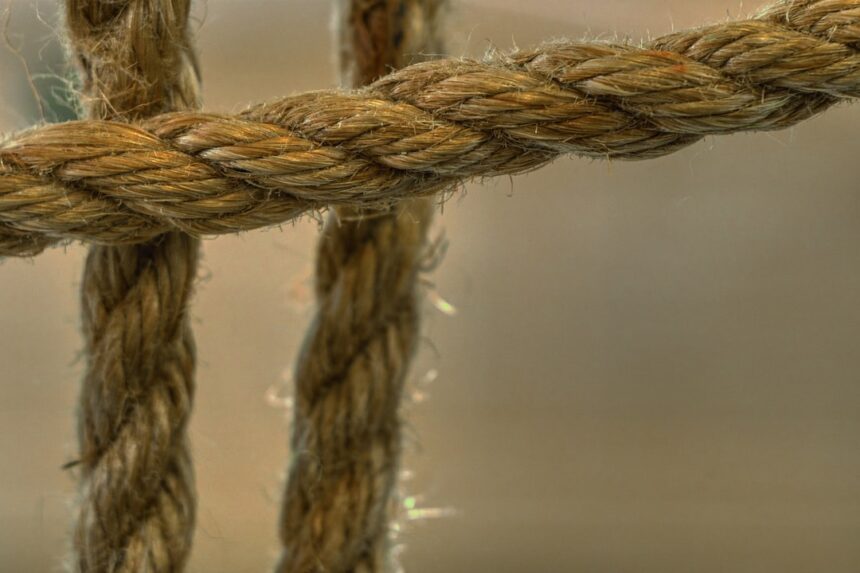 Photo stop tying worth to work