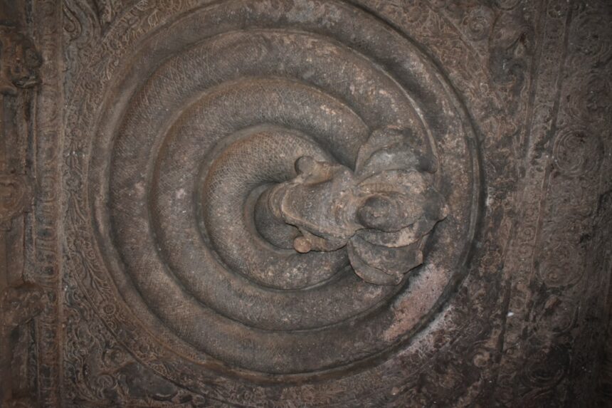 Photo anti spiral system