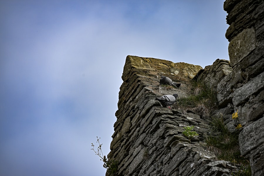 momentum cliff prevention