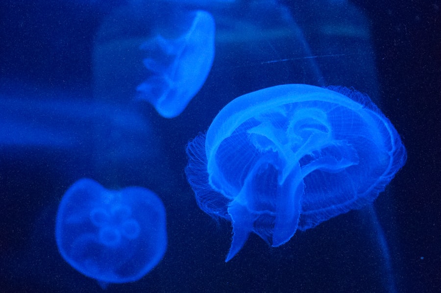 neuroscience, sabotage, success