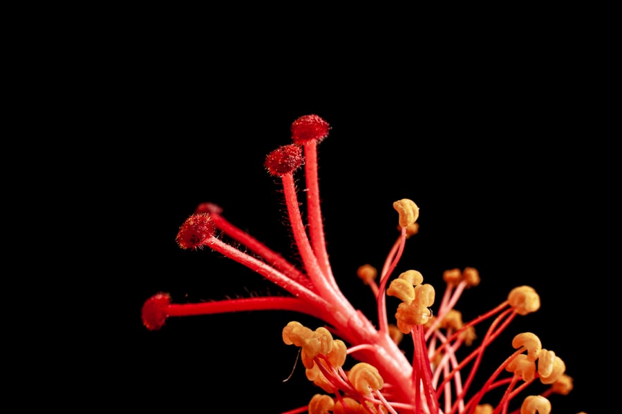 nervous system flush