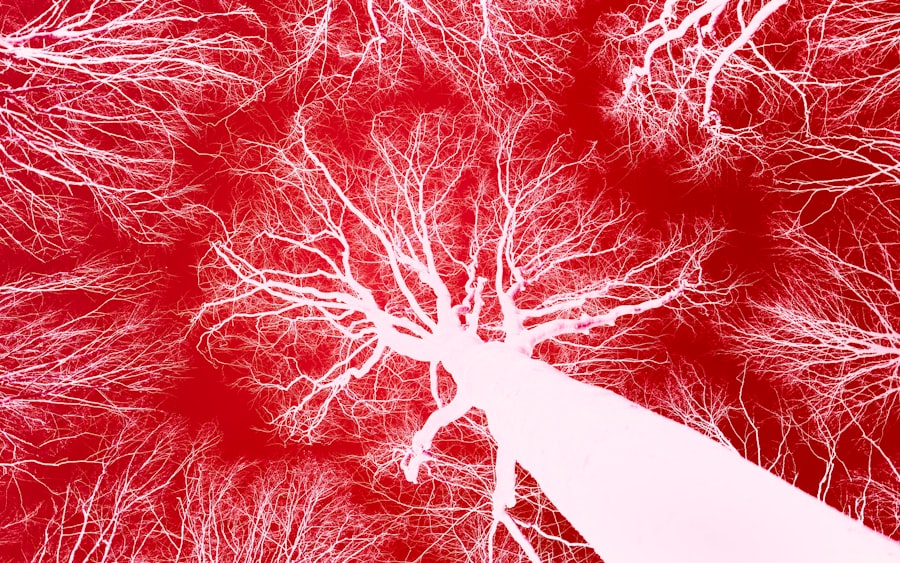 nervous system issues