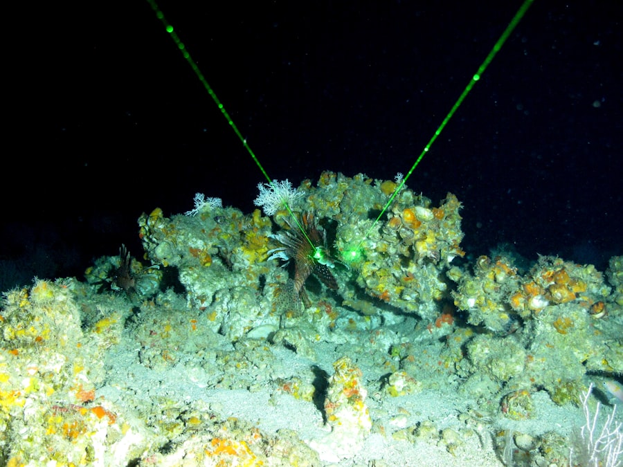 deep sea mining