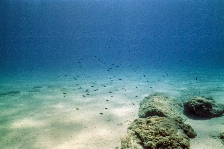 deep sea mining policy
