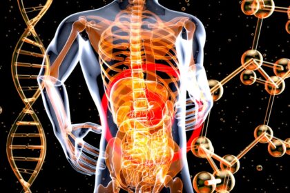 Photo vagus nerve stimulation