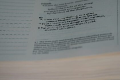 Photo autonomy scripts