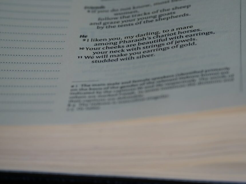 Photo autonomy scripts