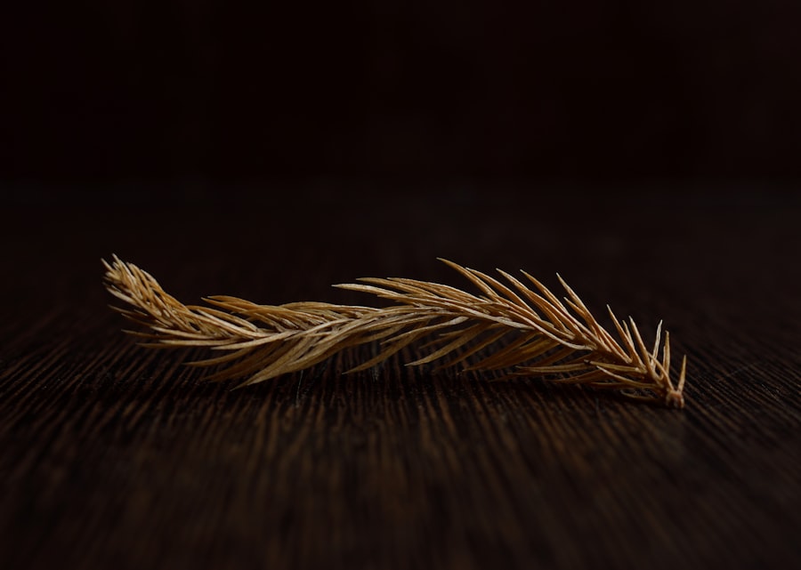 Photo grains vs flours