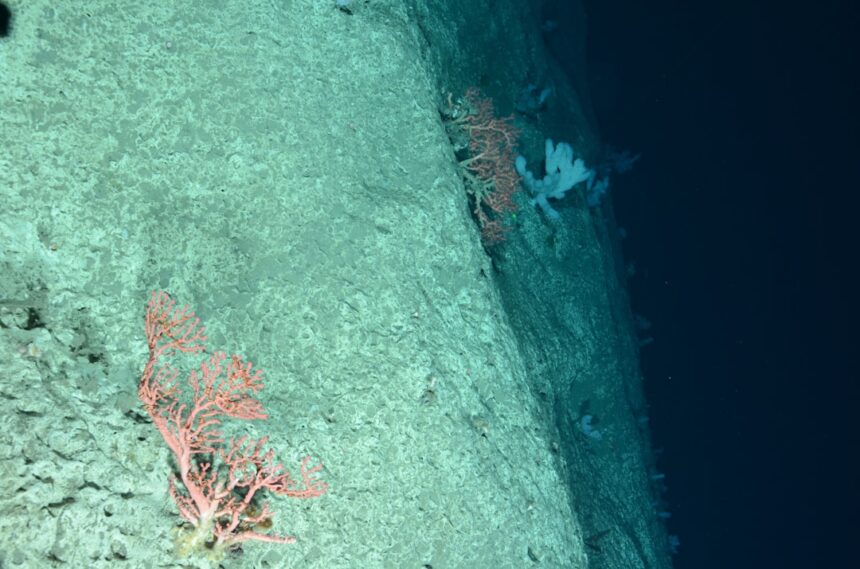 Photo deep sea mining