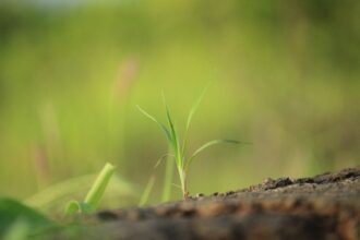 Photo ecosystem stability