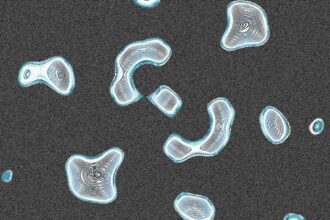 Photo polymetallic nodules