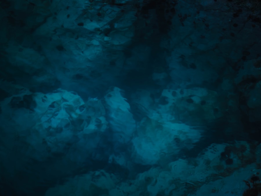 Photo deep sea mining impact