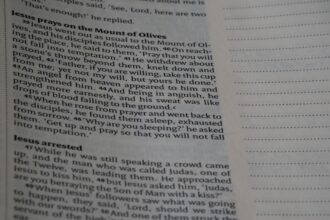 Photo internal narrator