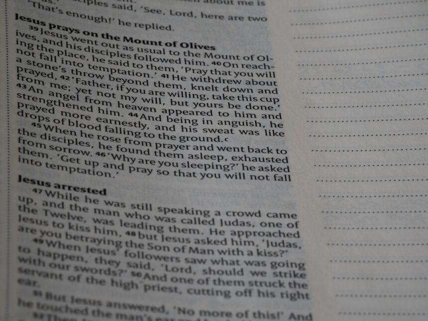 Photo internal narrator