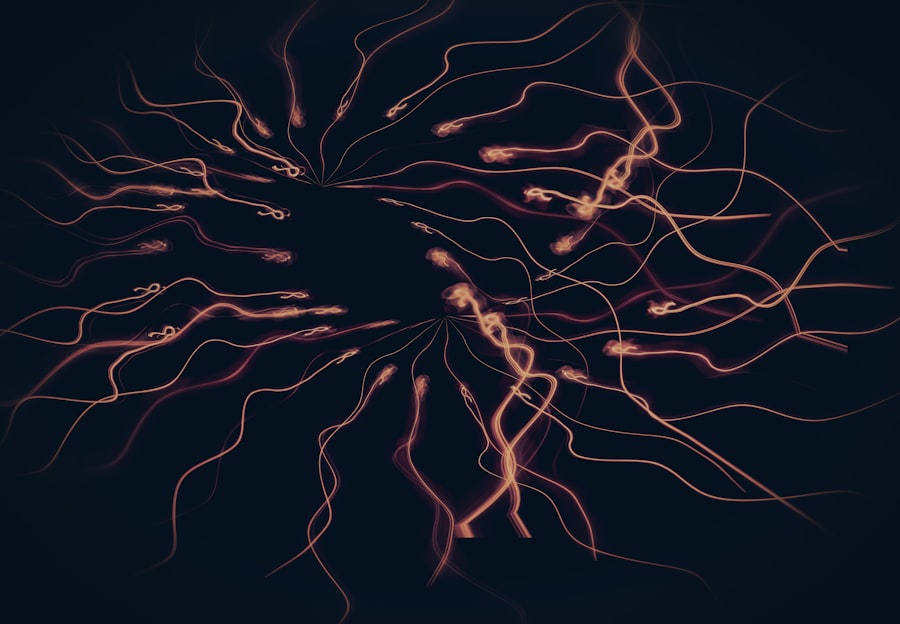 Photo nervous system focus protocol