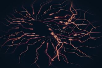 Photo neuroscience concentration