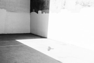 Photo dopamine drain reset