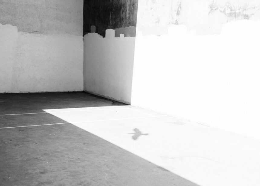 Photo dopamine drain reset