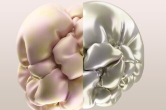 Photo reverse brain aging