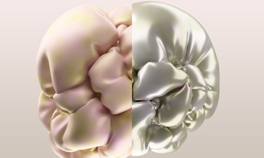 Photo reverse brain aging