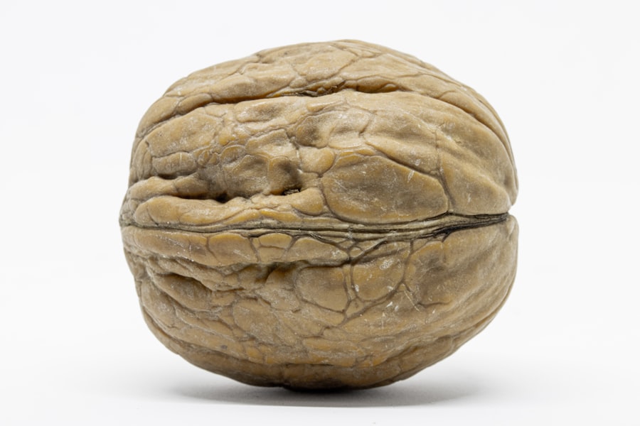 Photo reverse brain aging