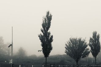 Photo afternoon brain fog