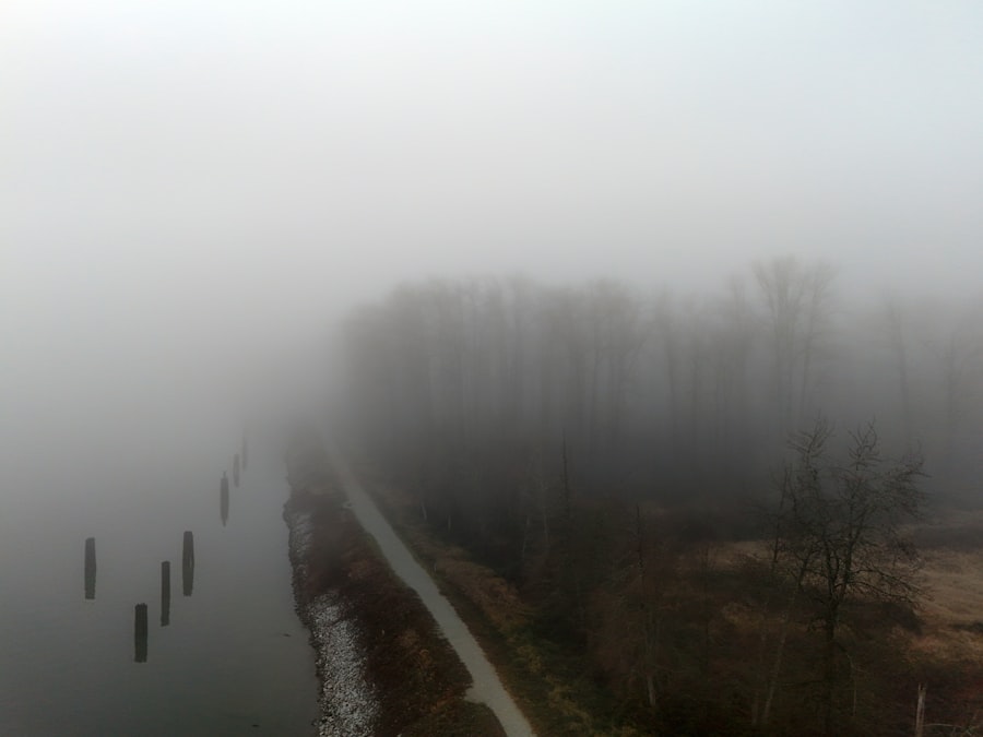 Photo afternoon brain fog