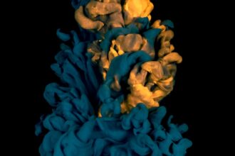 Photo trigeminal receptors