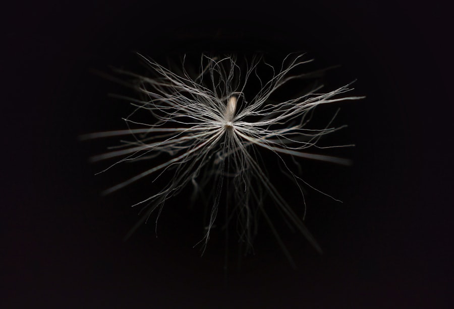 Photo nervous system flush
