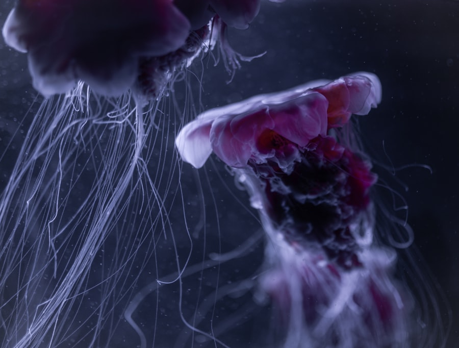 Photo nervous system issues