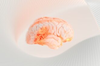 Photo brain adaptation