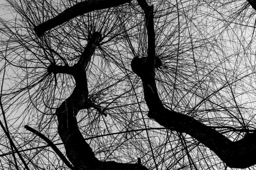 Photo ground nervous system social touch