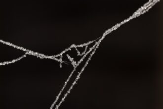 Photo design constraints