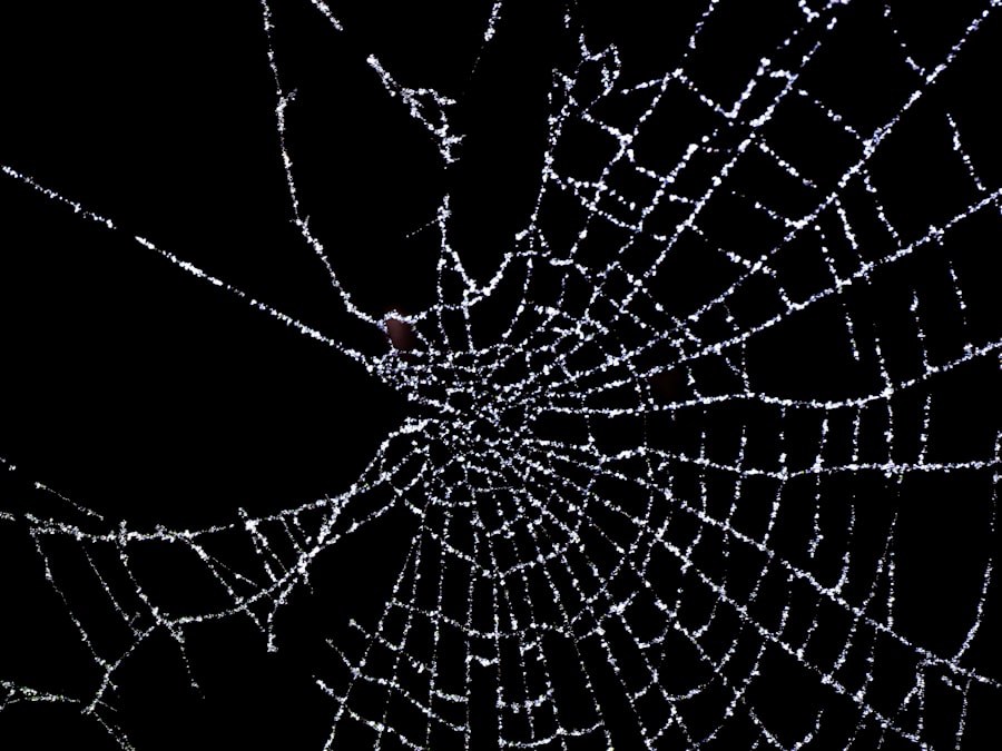 Photo design constraints