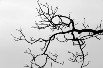 Photo neuroplasticity traps