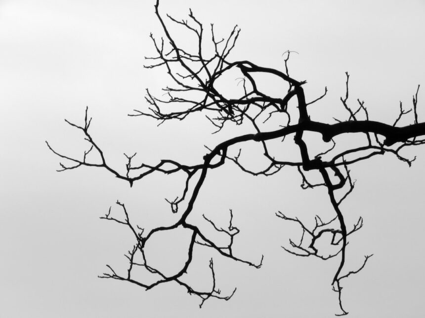 Photo neuroplasticity traps