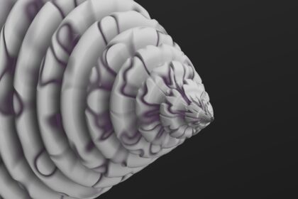 Photo amygdala dominance
