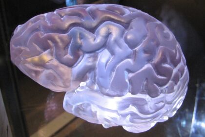 Photo brain dump techniques