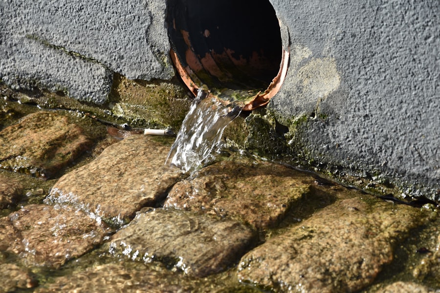 dopamine drain resets