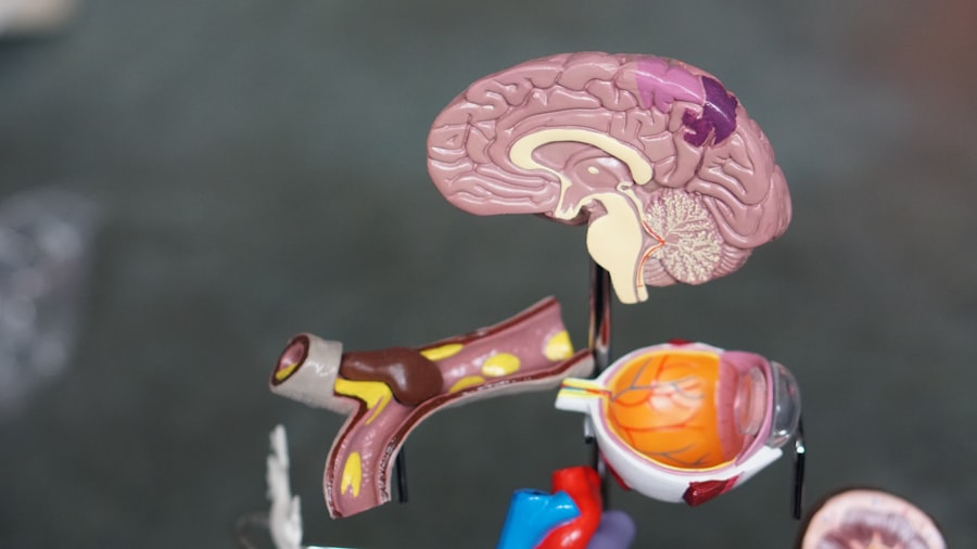 nervous system check
