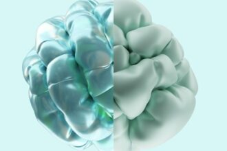 Photo brain protection