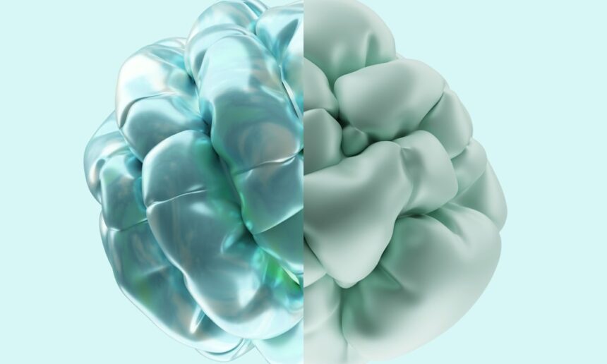 Photo brain protection