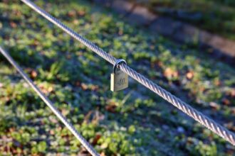 Photo environment, focus